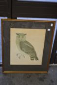 A print depicting an owl.