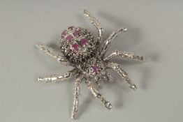 A silver ruby set spider brooch in a box.