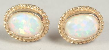 A pair of 9ct. gold opal rope ear studs in a box.
