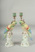 A PAIR OF GREEN PORCELAIN PARAKEET CANDLESTICKS on encrusted tree stumps. 13ins high.