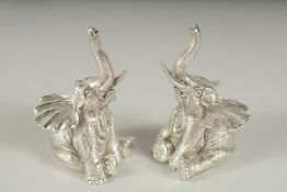 A PAIR OF .800 SILVER PLATED SEATED ELEPHANTS SALT AND PEPPERS. 7cm high.