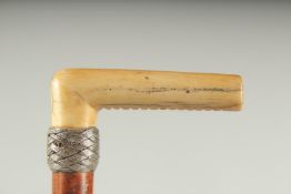 A CARVED BONE HANDLE SWORD STICK with silver band. 2ft 8ins long.
