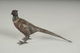 AN AUSTRIAN COLD PAINTED BRONZE PHEASANT, 6.5ins long.