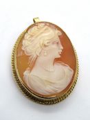 A carved shell cameo pendant / brooch,