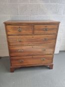 A mahogany chest of two short over three long drawers having ornate brass drop handles and brass