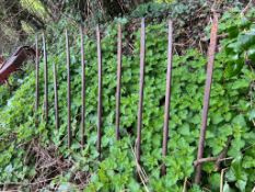 A 5’6 wide ten-tine buck rake