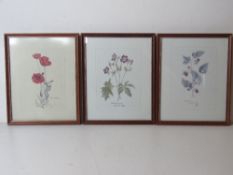 A set of three floral watercolours inc raspberry dated 1904,