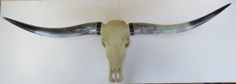 A composite skull with horns (one horn tip a/f) approx 140cm wide x 47cm high.