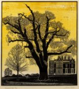James Dodds (b.1957) University Tree 36/50, signed, titled, and numbered in pencil (in the margin)