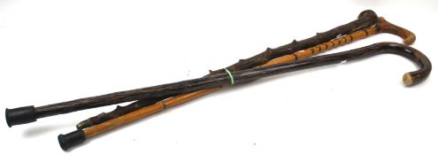 Three 20th century walking sticks.