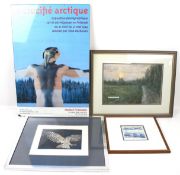 Four assorted pictures.