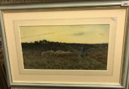 EDWARD F LUCY 