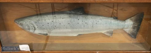 Lionel Sweet of Usk large painted 35.5lb Salmon caught in March 1938 downstream of Usk, housed in