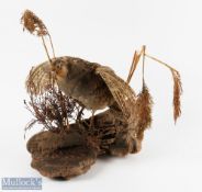 Taxidermy English Partridge, just about to take flight from heather and wheat scene, on cork base