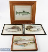 Fish prints by A F Lydon: Salmon male, Grisle or young Salmon, Galway Sea trout, with an unnamed