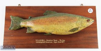 Cast Rainbow Trout mounted on board a 7lb 2oz trout caught by W F Ashill, Llandegfedd Reservoir,