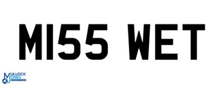 Private UK Vehicle Registration Plate - M155 WET