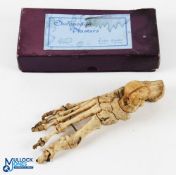 Antique Bone Educational Medical Model of a Right Foot an antique original bone chiropodist training