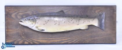Painted Plaster Cast of a Trout length approx. 51cm, mounted on an oak board, 67cm x 24cm, fish a/