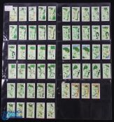 Set of Churchman's Golfing Cigarette Cards 'Can You Beat Bogey at St Andrew' 1934 complete set 54/