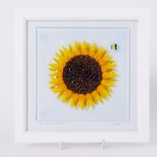 Lou from Lou C fused glass, 'Peace' signed, 17cm x 17cm, framed. Louise is a Plymouth based Glass