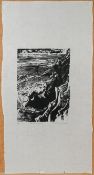Kim Atkinson, Pen Custom Eulli, signed limited edition print 3/25. (18cm x 26cm) This artwork is