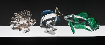 Swarovski Crystal Glass, 'Lion Fish', 'Siamese Fighting Fish' and Members Gift Fish, boxed.
