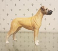 Beswick Pottery Great Dane Dog C.H. Ruler of Ouborough 968