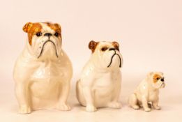Three Beswick Bulldogs seated 1872, 3379 and 3351 (3)