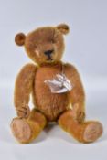 AN AMERICAN ORANGE BRISTLE MOHAIR TEDDY BEAR, c.1914 - 1920, replacement glass eyes, horizontal