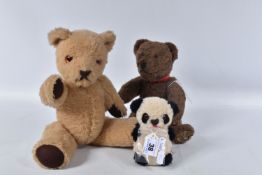 A BROWN WOOL TEDDY BEAR, c. 1950's possibly British or Australian, amber and black glass eyes,