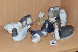 A GROUP OF ROYAL COPENHAGEN BIRD AND ANIMAL FIGURES, comprising a grebe no 3263, a gull no 1468, a