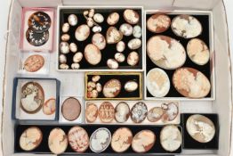 AN ASSORTMENT OF SHELL CAMEOS, fifty nine shell cameos, predominantly depicting female portraits,