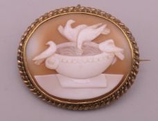 An unmarked yellow metal, probably gold, framed cameo depicting Pliny's doves. 3.75 cm wide.