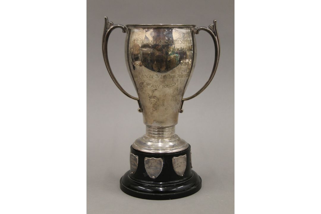 A silver twin handled trophy cup on stand. 24 cm high overall. 366.8 grammes. - Image 2 of 6