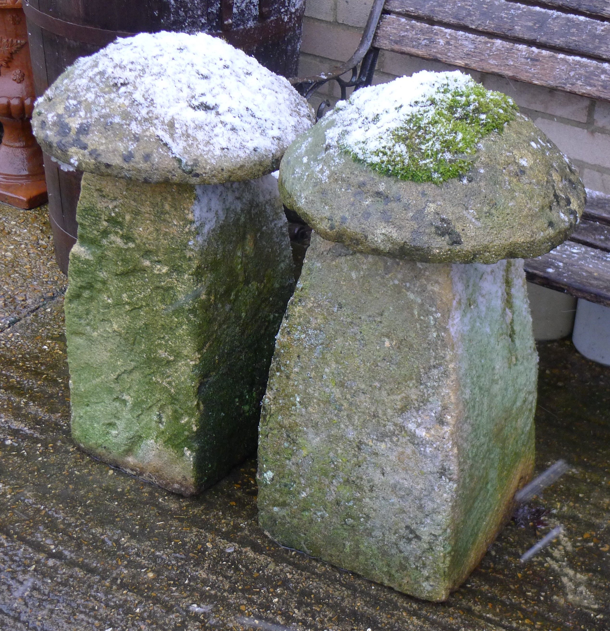 Two staddle stones.