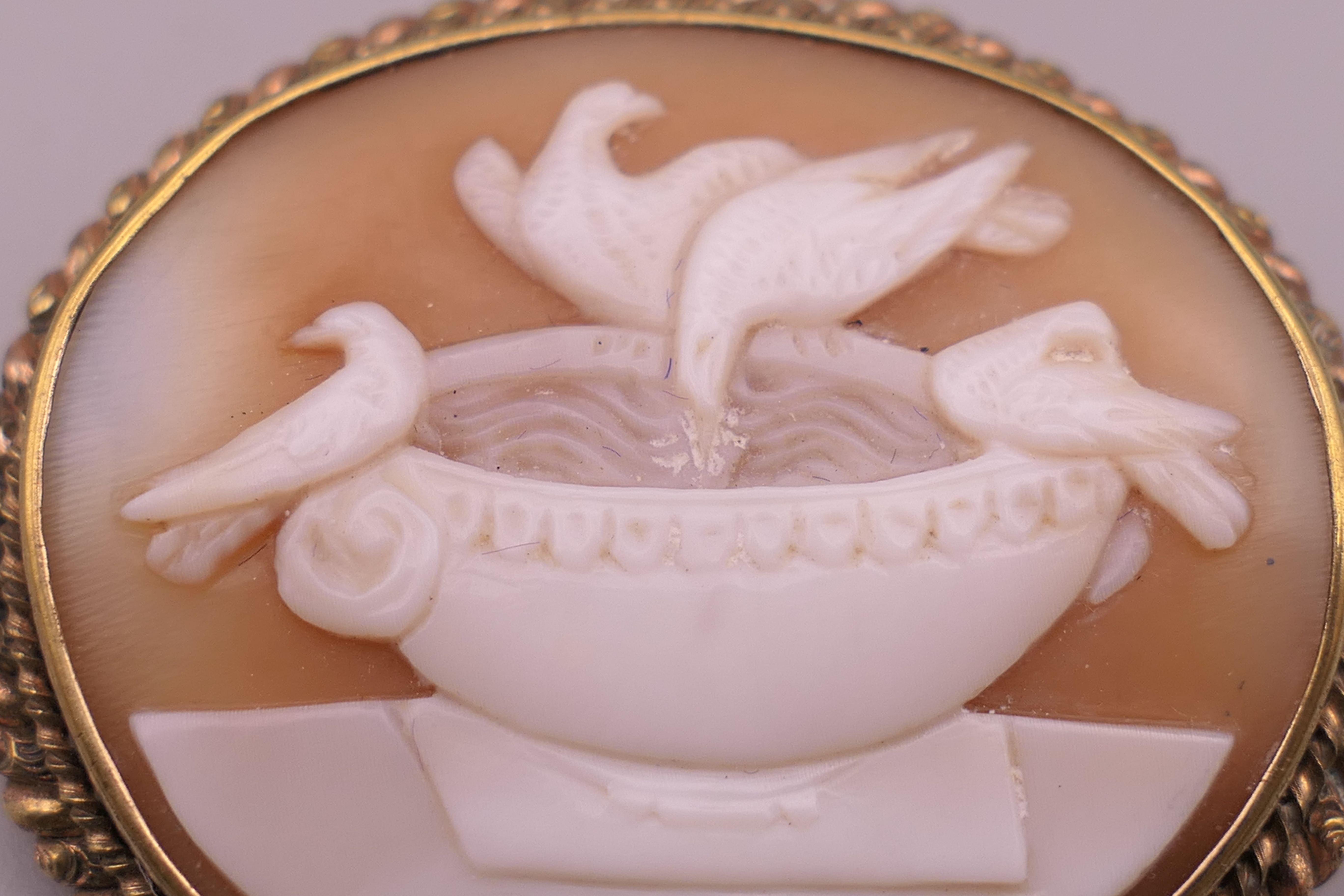 An unmarked yellow metal, probably gold, framed cameo depicting Pliny's doves. 3.75 cm wide. - Image 2 of 4