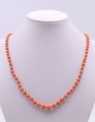 A coral bead necklace. 45 cm long.