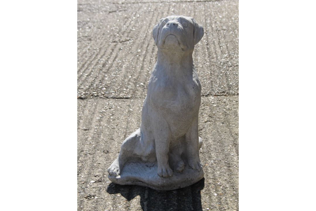 A garden ornament formed as a boxer dog. 51 cm high.