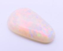 An opal specimen. 2 cm long.