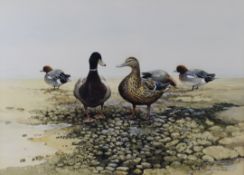 Berrisford Hill (born 1930) watercolour study of ducks on a mud bank, signed lower right, in gilt