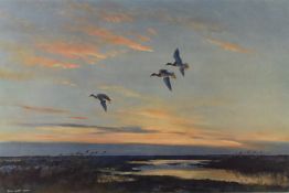Peter Scott (1909-1989) signed print of ducks in flight, 38 x 55cm, in limed wood frame