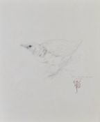 Raymond Harris Ching (born 1939) sketch of a Corncrake bird, monogrammed and dated 1968 lower