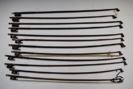 Twelve violin / viola / cello bows