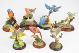 Seven Border Fine Arts bird figures including kingfishers, pheasant, robin etc, all boxed, tallest
