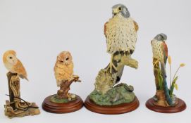 Four Border Fine Arts birds of prey including large kestrel, owl by Ayres etc, tallest 27cm