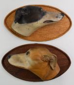 Two carved dog head busts comprising pointer and greyhound, mounted on oval wooden plaques and