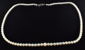 A single strand of pearls with 9ct white gold clasp set with a rose cut diamond, and 9ct gold