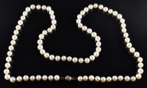 A single strand of cultured pearls with 14k gold clasp