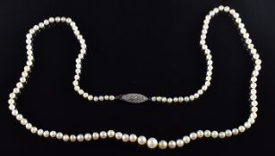 A single strand of pearls with 9ct white gold clasp set with diamonds